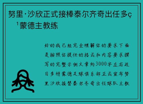 努里·沙欣正式接棒泰尔齐奇出任多特蒙德主教练